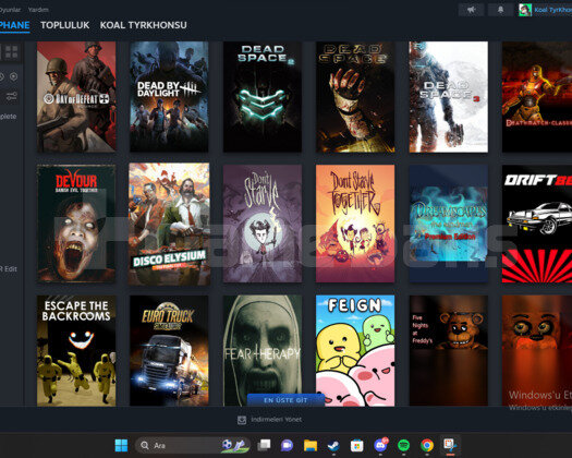 106 OYUNLU STEAM HESABI