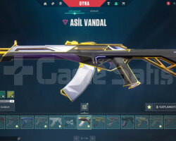 14 EFSANE VANDAL VE 13 EFSANE PHANTOM HESAP