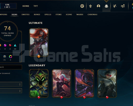 EUW | 224 Level 74 Kostüm