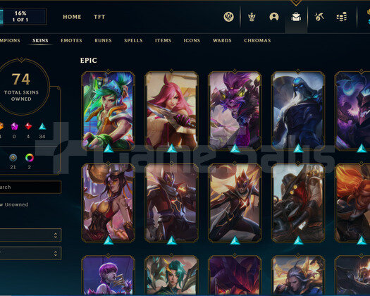 EUW | 224 Level 74 Kostüm