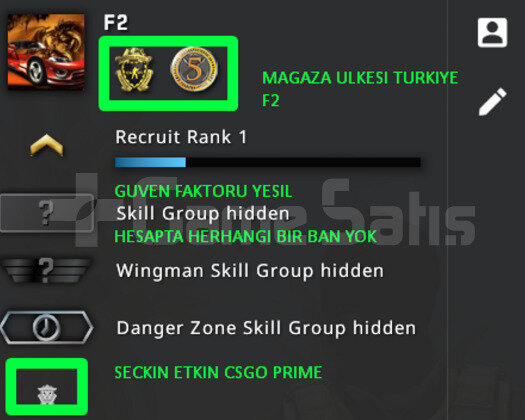 2 MADALYA | PRIME CSGO | MAGAZA TR YESIL FAKTOR