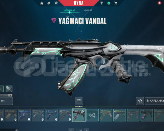 100 TR PASİF VANDALLI Full / 25+ SKİN