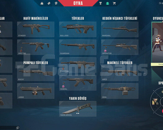 bayonet bıçaklı mail değişen