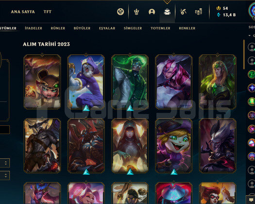 VALORANT VCT BIÇAKLI ONİ SETLİ +DOPDOLU LOL HESABI