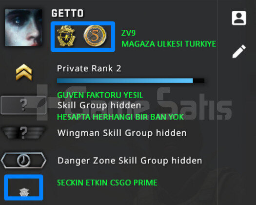 2 MADALYA | PRIME CSGO | MAGAZA TR YESIL FAKTOR
