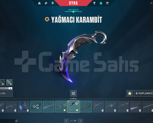 Yağmacı karambit ve RGX kelebek olan dia elo hesap