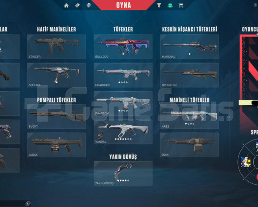 Yağmacı karambit ve RGX kelebek olan dia elo hesap