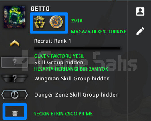 2 MADALYA | PRIME CSGO | MAGAZA TR YESIL FAKTOR