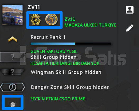 2 MADALYA | PRIME CSGO | MAGAZA TR YESIL FAKTOR