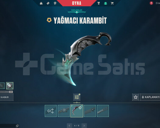 YAĞMACI KARAMBİT / BORSA KELEBEK E-POSTALI HESAP