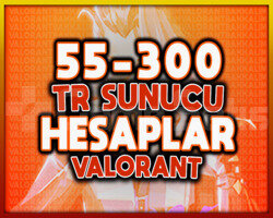 TR SUNUCU 55-300 SKİN FULL ENVANTER VİP FULL
