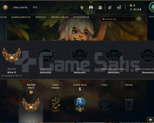 TR GOLD 2 50LP 62WR I YÜKSEK ELO 21K MAVİ ÖZ