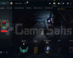 60 WR HİGH MMR PLAT 2