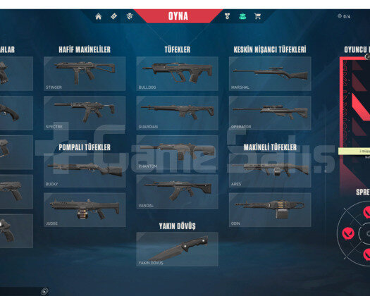 Dia 1 smurf