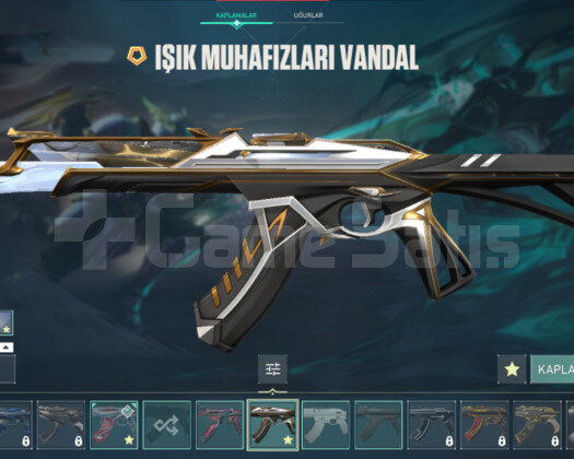 27 SKİNS 1 KNİFE 145 LVL HESAP