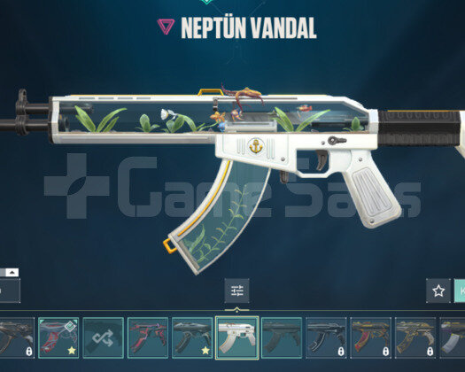 27 SKİNS 1 KNİFE 145 LVL HESAP