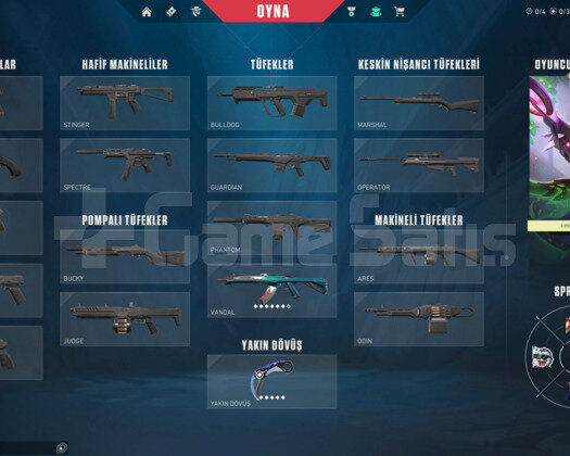 Yücelik 3 Asil vandal + iyon karambit full+full