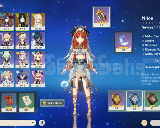 C2 Nilou ve Mistsplitter