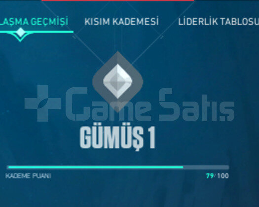 YAĞMACI VANDALLI RGX KELEBEKLİ  116 LV VALO HESABI