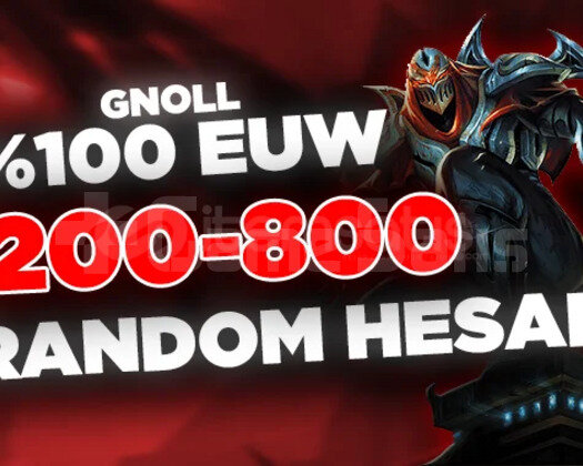UltraKaliteli EUW 200-800 SKİN DOPDOLU KALİTELİ