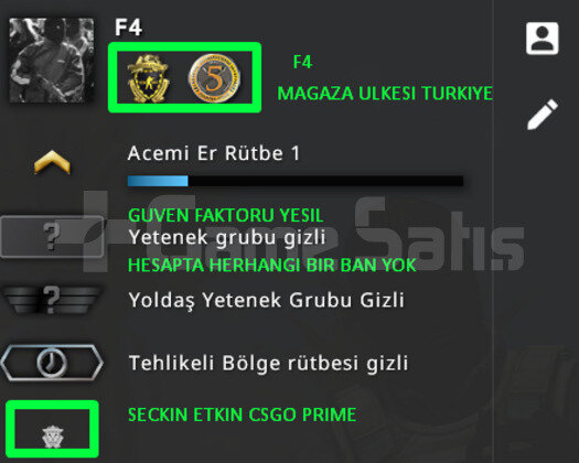 2 MADALYA | PRIME CSGO | MAGAZA TR YESIL FAKTOR