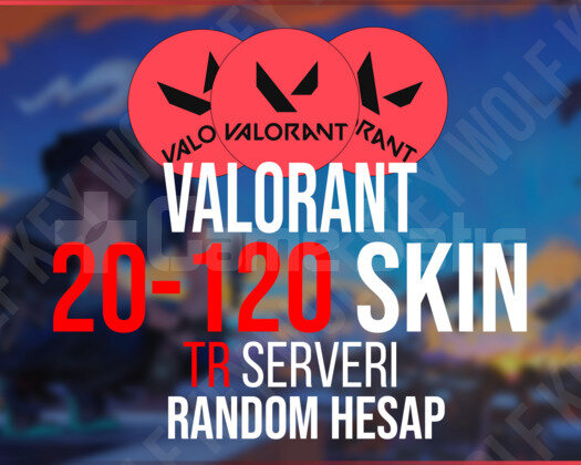 Valorant 20-120 Skinli Random Hesap