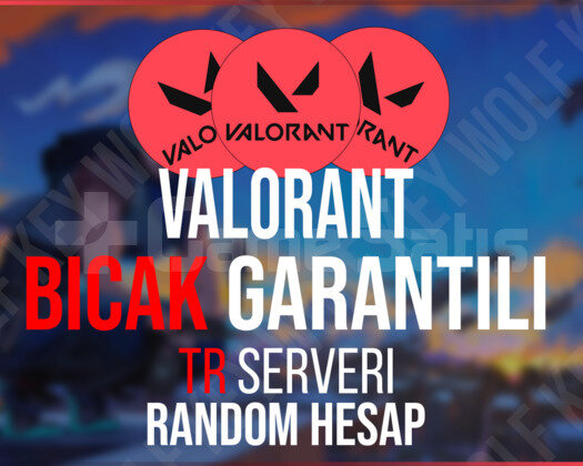 Valorant Bıçak Skini Garantili Random Hesap