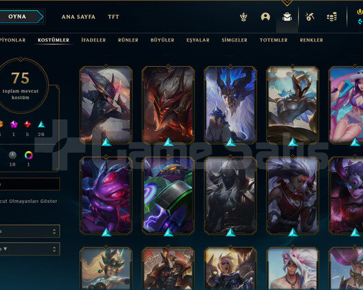 TR | 200 Level 75 Kostüm