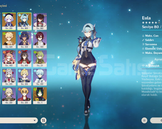 AR 52 C3 Eula + C6 Mika