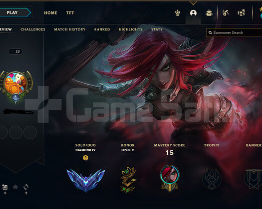 EUW D4 70WR SMURF ACC