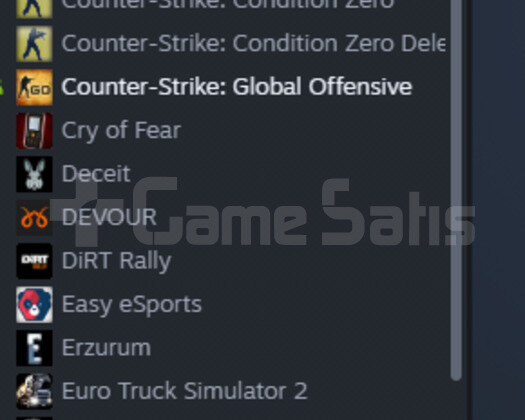 Uygun Fiyata Steam Hesap