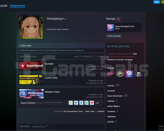 Uygun Fiyata Steam Hesap