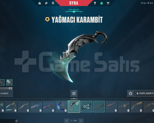 YAĞMACI KARAMBİT VE EJDER VANDAL E-POSTALI HESAP