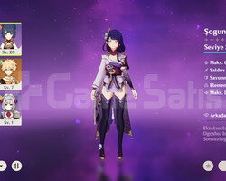 Ar11 Raiden + 135 wish hesap