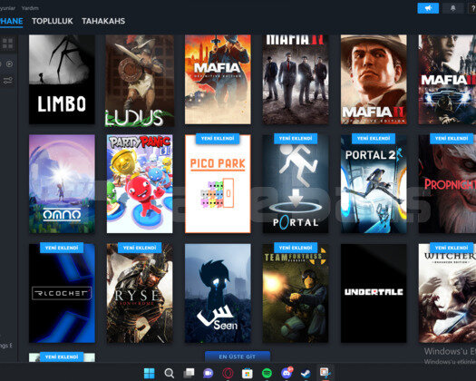 Steam 57 + Epic 23 Oyunlu Hesap