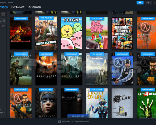 Steam 57 + Epic 23 Oyunlu Hesap
