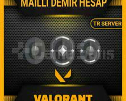 Demir 2 Hesap
