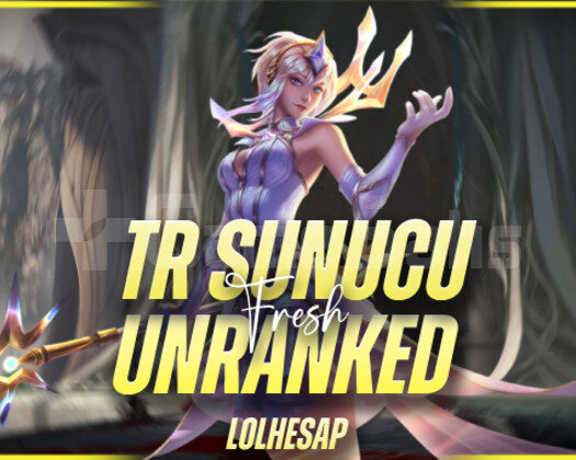 TR 45.000 MAVİ ÖZ 30 LVL UNRANKED HESAP