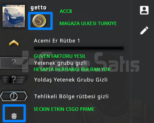 1 MADALYA | PRIME CSGO | MAGAZA TR YESIL FAKTOR