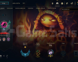 +30 LP PLATİN 3