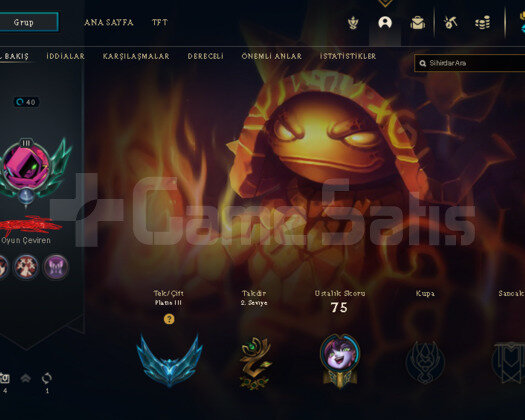 +30 LP PLATİN 3