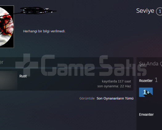 Rust Hesabı + Bol skinli + tüm bilgileri degişir.