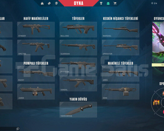 Platin 1 hesap temiz hesap skin yoktur