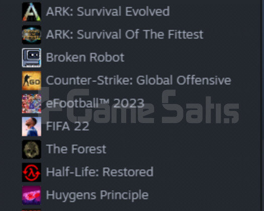 İlk Sahibinden Steam Hesabı