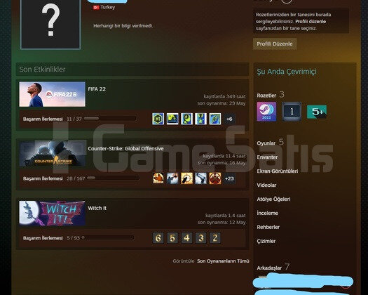 İlk Sahibinden Steam Hesabı