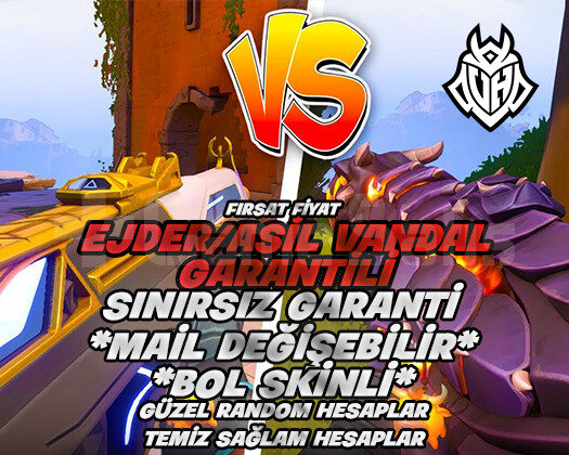 Ejder / Asil Vandal Garantili + Mail Değişebilir
