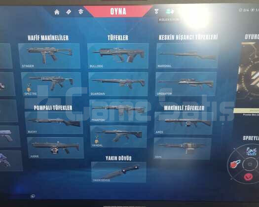 162 Seviye Permier Beta Şampiyonu Valorant Hesap