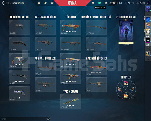 Değerli skinler yüksek elo
