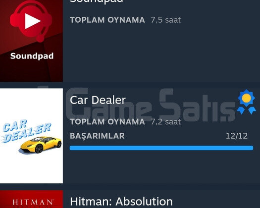 Steam hesabı ETS 2 FORZA 4 BeamNG GTA V  +14