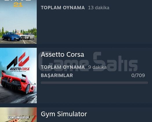 Steam hesabı ETS 2 FORZA 4 BeamNG GTA V  +14